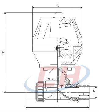 PVDF氣動(dòng)由令隔膜閥結(jié)構(gòu)圖